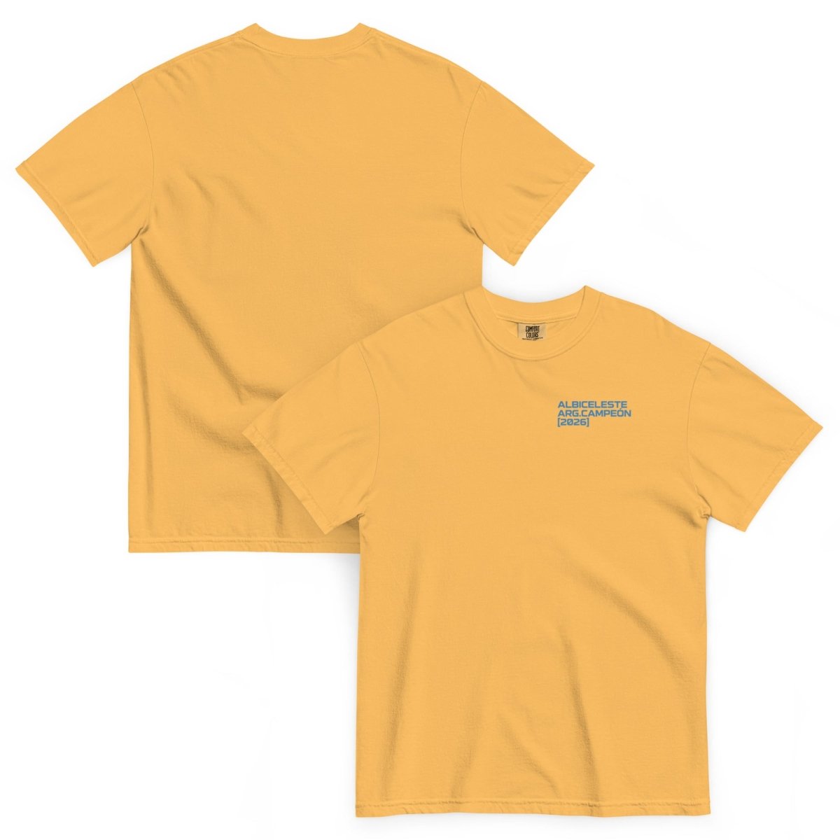 Nations Heavyweight Tee — Argentina - ShopNQlik