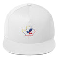 Q Collection Flat Bill Cap – Colombia × Canada - ShopNQlik