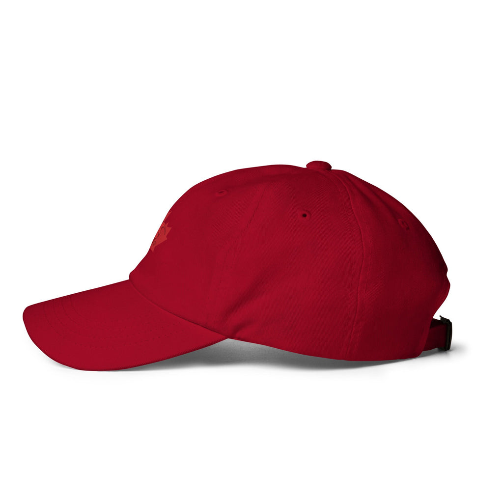 Q Origins Dad Hat – Trinidad × Canada | Men's - ShopNQlik
