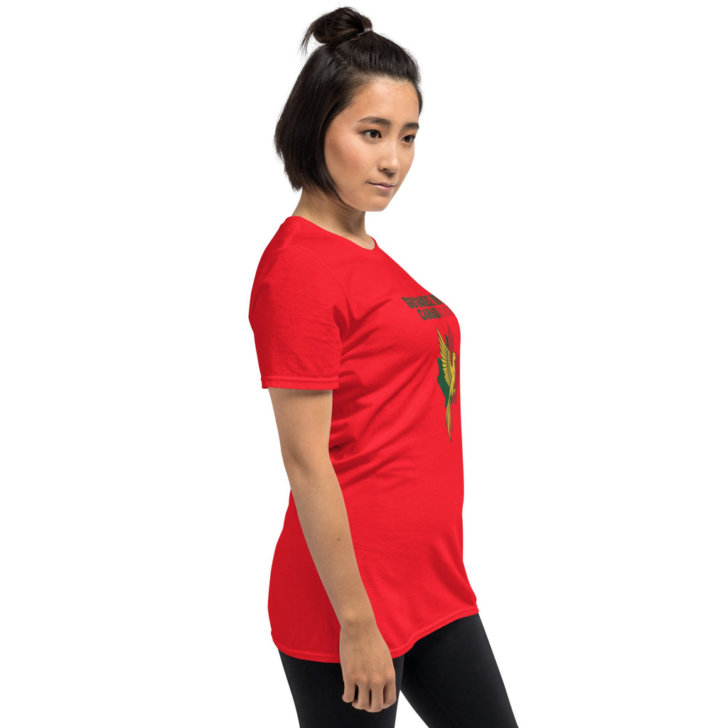 Q Origins Women's Softstyle Heritage Tee - ShopNQlik